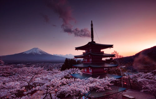 пагода, сакура, фудзи, розовые, красные, фиолетовые